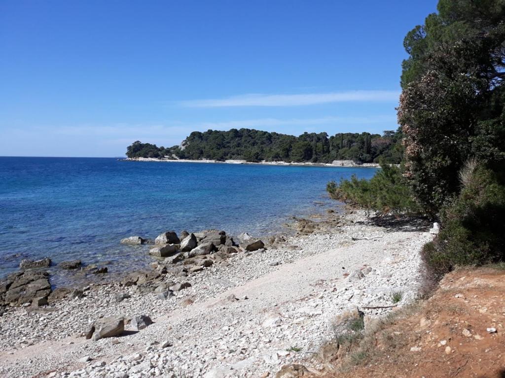Seaview Apartment Rovinj Buitenkant foto